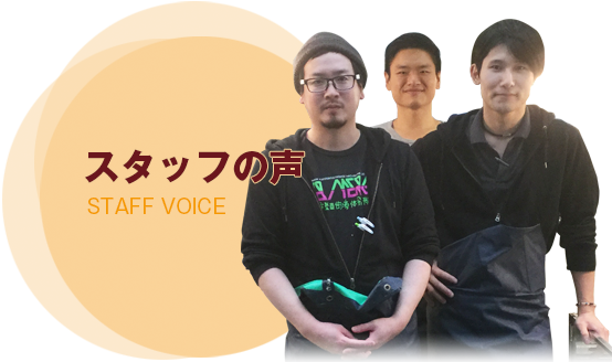 staff voice