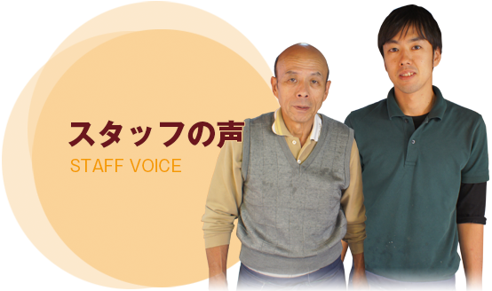 staff voice