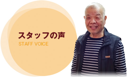 staff voice