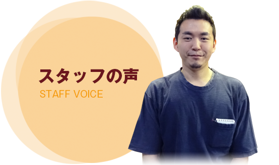 staff voice