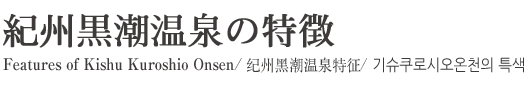 紀州黒潮温泉の特徴